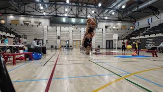 MIT lion dance 2026
