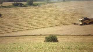 Żniwa 2009 Na Dolnymśląsku