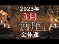 魚座3月【全体運】⚡️衝撃‼️🌈あなたの価値観が大きる変わる1ヶ月📣✨