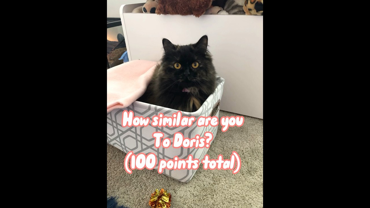 How similar are you to Doris? Inspired by 