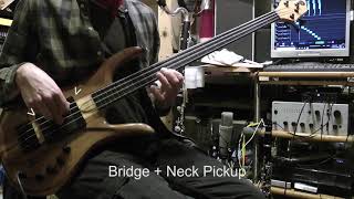 WHICH FRETLESS BASS IS THE BEST? (read description) by leitnerjoe 1,094 views 1 year ago 2 minutes, 45 seconds