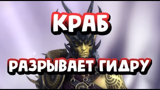 КРАБ АФИДУС РОИСТЫЙ - УБИЙЦА ГИДРЫ. RAID SHADOW LEGENDS