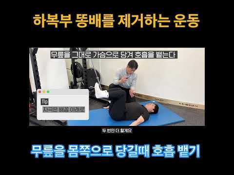 하복부 똥배를 없애는 <strong>코어운동</strong>