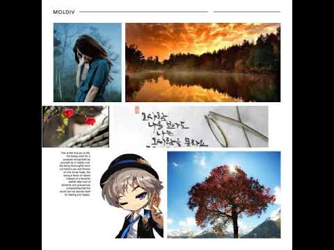 [TJ노래방라운지] 사랑이지나가면 - 이문세