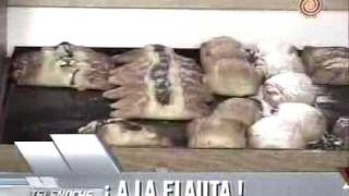 TELENOCHE22.flv