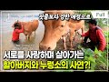 [Full] 한국기행 - 나의 친애하는 동물 친구들 제2부 사랑하고 사랑한다