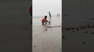 Tajpur Sea Beach One Minute Review.