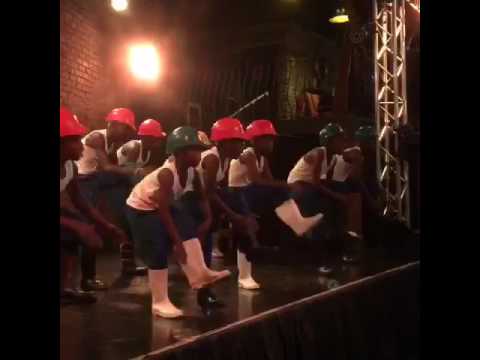 South African Steppers