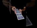 This Card Trick will BLOW YOUR MIND! 🤯