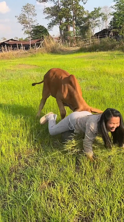 Mau ketawa takut dosa video lucu bikin ngakak hiburan warga 62 #funny #lucu #comedy #meme #trending