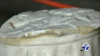 Statues beheaded, Catholic church in Hayward vandalized