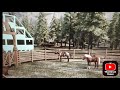 Imi construiesc padoc pentru cai si cumpar femela si mascul de la licitatie Ranch Simulator Ep 29