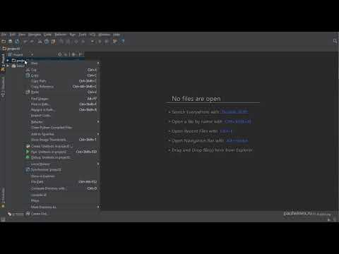 02 Python Intermediate  IDE