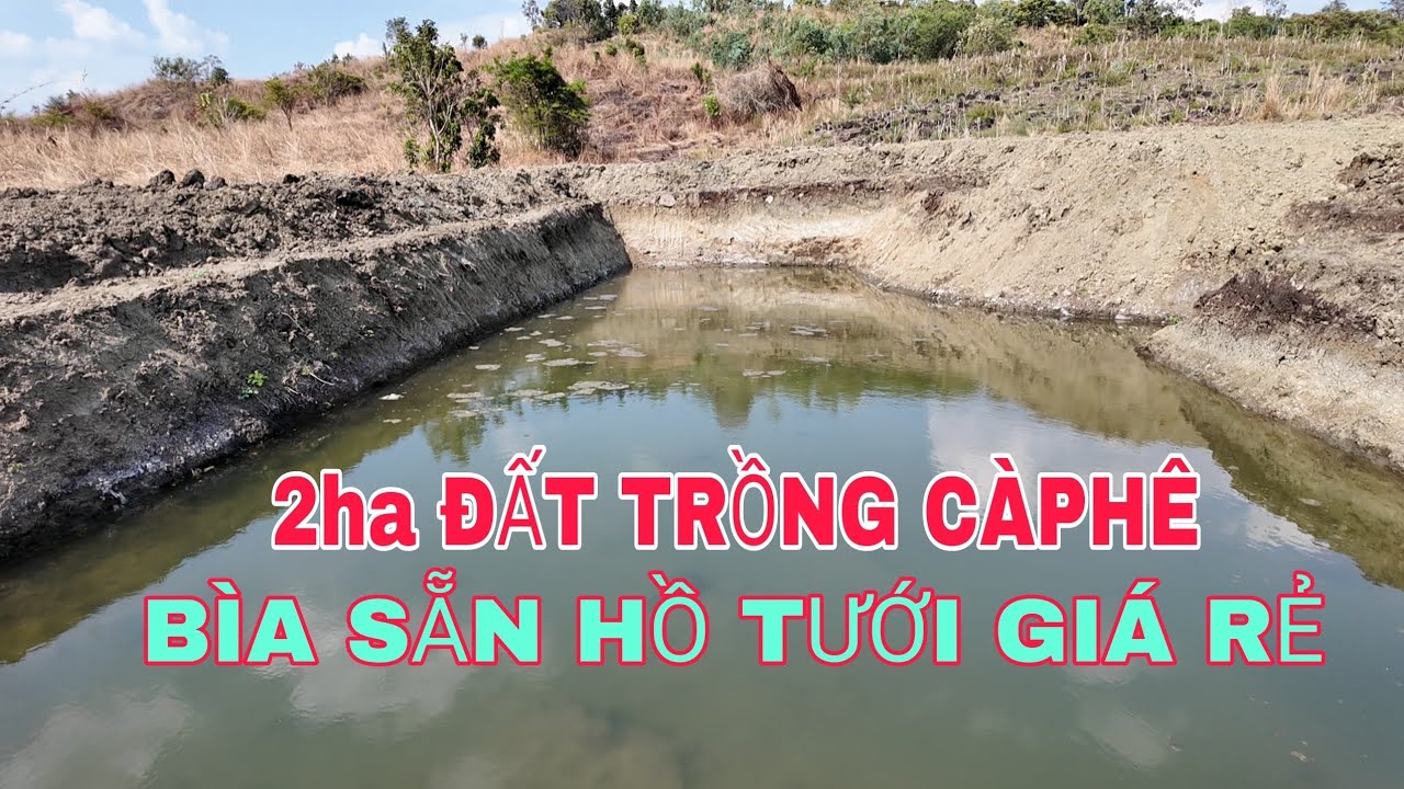  2ha bìa sẵn có hồ tưới thích hợp trồng càphê giá 850tr hết đất 