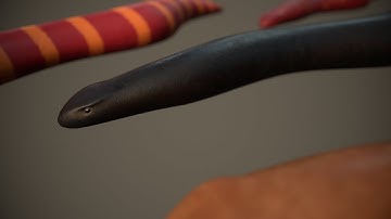 Animated Snake Worm | Unity asset 3D