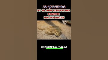 PT 10: 3-D Questions from STEAMspirations: How Ecosystems Compete for Resources 🌳🦁