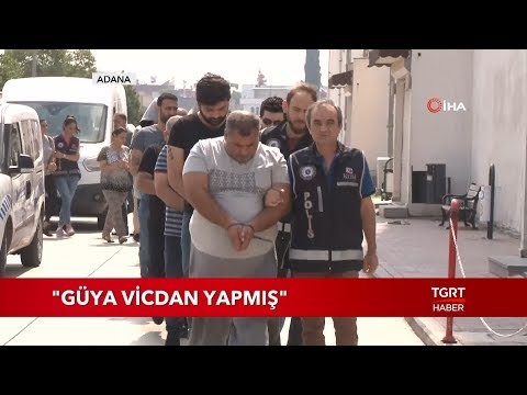 Pitbullarla Korunan Şato