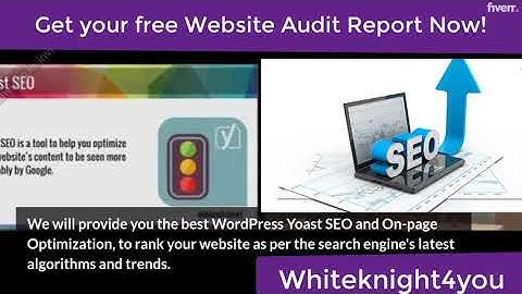 Do wordpress yoast seo, meta tags, and schema markup - Best SEO service