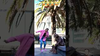 Hi puppy 😁 watch till the end. #prank #funny #fun #mahdi_fun #explore #viral #shorts