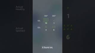 Principles of AI — Project 1.1.4: Classifier & Model Card (Part 4: Test Honest, Learn From Failures)