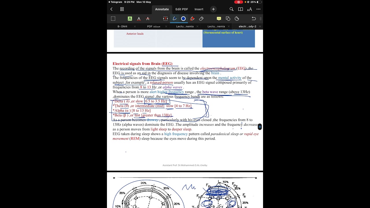 Electricity within the body | part three طب الانبار