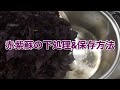 【梅仕事】赤紫蘇の下処理＆保存方法