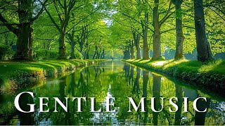 Gentle Music, Calms The Nervous System And Pleases The Soul 🌿 Music That Heals The Heart, Relaxation