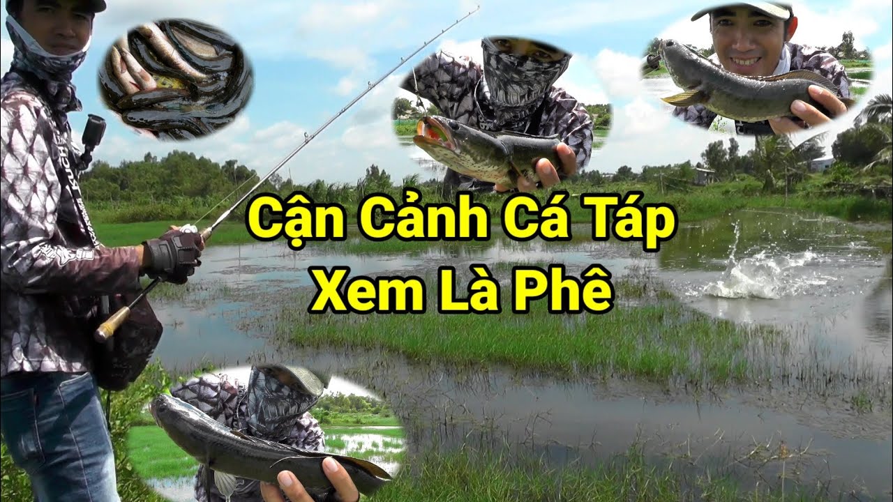 Lure Dạo Gặp Bãi Câu Đẹp Đầy Cá || Đóng Cá Quên Mất Lối Về || VR Fishing #63