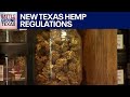 Voter eligibility, latest polls &amp; hemp regulations | Battleground Texas