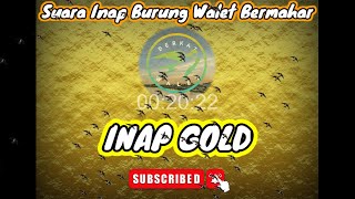 SUARA INAP BERMAHAR‼️INAP GOLD