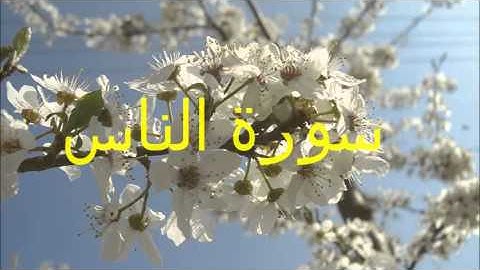 سورة الناس للقارئ أحمد الحذيفي
