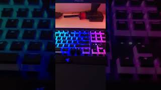 Hyperx pudding keycaps on razer blackwidow