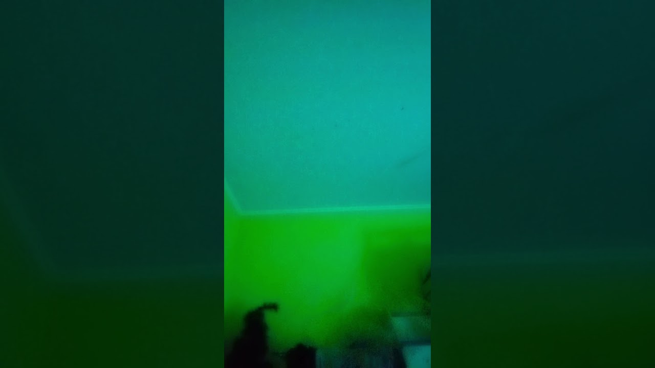 14 апреля 2024 г.