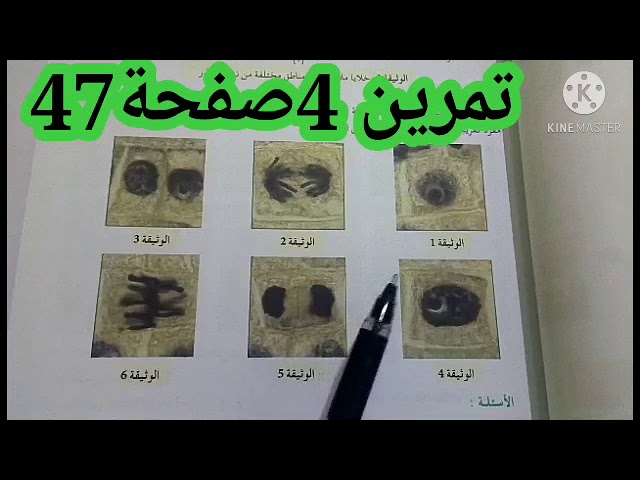التحضير للفرض |حل التمرين 4 صفحة 47علوم الطبيعة والحياة 1ثانوي علوم وتكنولوجيا
