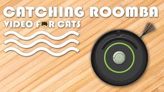 Cat Games On Screen - Irobot Roomba. Video For Dogs And Cats To Watch.