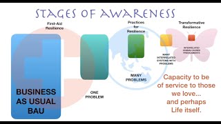 STAGES OF AWARENESS 2 - New Chefurka Self-Assessment of Collapse Acceptance and Systems Awareness