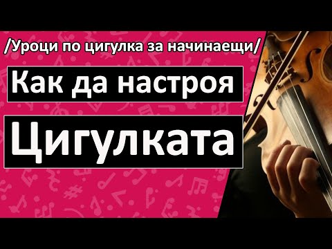 Видео: Как да нарисувате цигулка