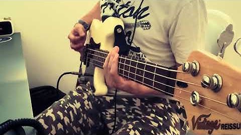 Overdriven Bass - Vintage V42