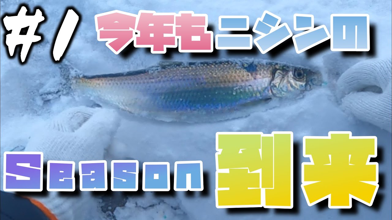 今年最後の1台です・・・ニシン釣り maxresdefault.jpg