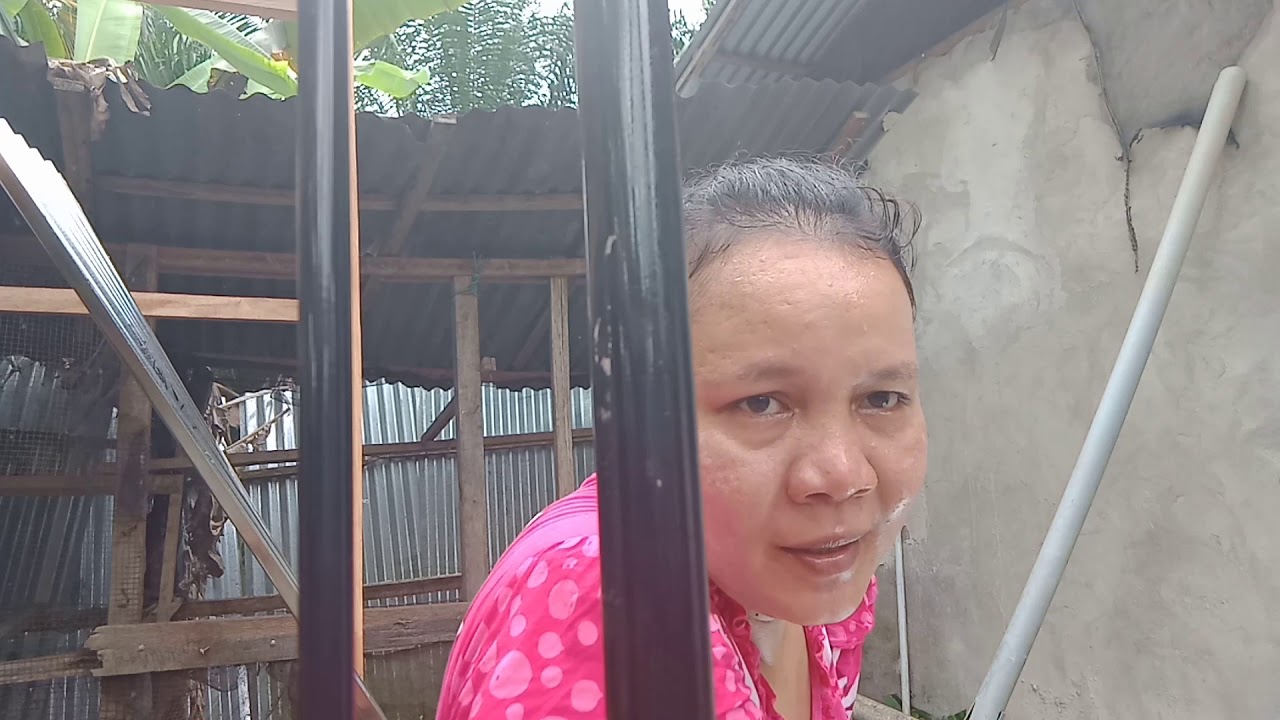 Cara pembuatan kandang ayam kampung🐓 