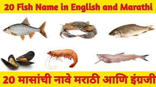 Fish Name in English and Marathi with pictures / Fish Name / मासांची नावे मराठी आणि इंग्रजी/ fish ||