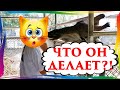 Жирафы и слоны в Паттайе Таиланд 2020 #YaAlёna