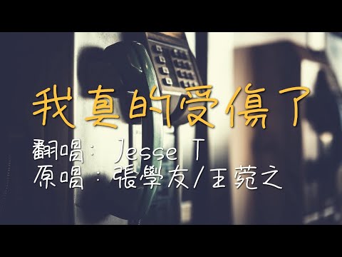 我真的受傷了- 張學友/王菀之 (Jesse T Acoustic Cover) 翻唱 |不插電版