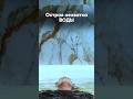 Во время съемок ни один стакан воды не был просто так вылит в канализацию #экология #вода