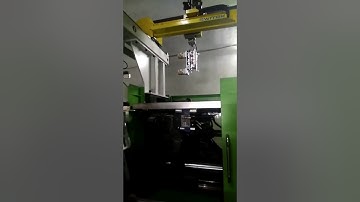 SW6712DS Top Entry 2 Cavities Yogurt Cup IML Production