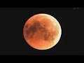 Кровавая луна зависла над землей. Лунное затмение 27 июля 2018г.