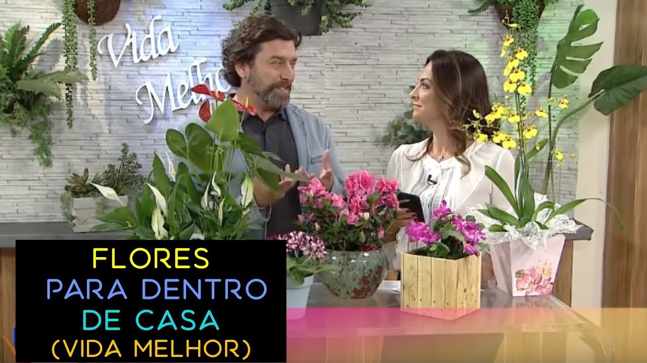 Flores Para Dentro de Casa - Dicas no Programa Vida Melhor - thptnganamst.edu.vn