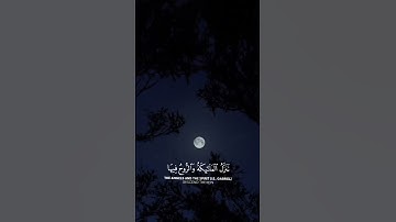 انا انزلناه في ليلة القدر  || سورة القدر ياسر الدوري #ياسرالدوسري #اكسبلور #تلاوه #قران