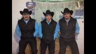 EL VIEJO "INVASION SIERREÑA DEL EJIDO MEZQUITAL"