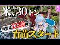 VTuber、30トンの米を育てる